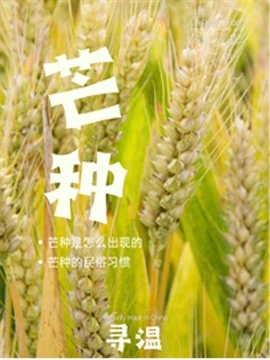 24 Solar Terms, The Origin Of Ear Seeds