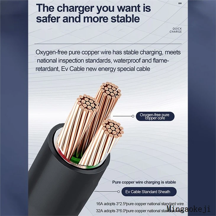 New Energy Charger